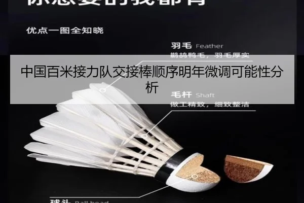 中国百米接力队交接棒顺序明年微调可能性分析
